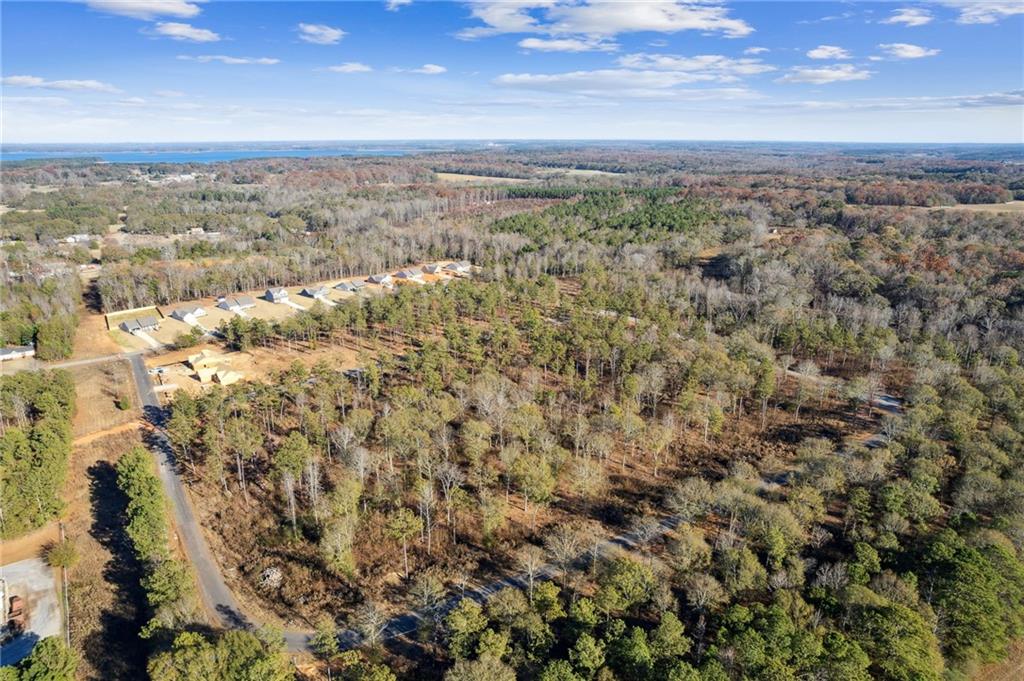 8 Joseph Lane, Hartwell, Georgia image 39