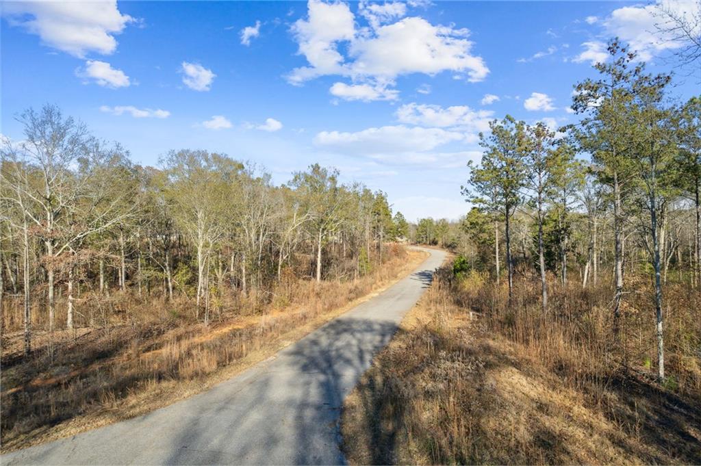 8 Joseph Lane, Hartwell, Georgia image 47