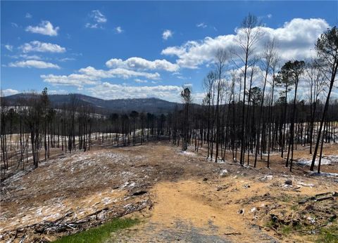 Vacant Land For Sale - 134 Twisted Oak Road<br/> Talking Rock, GA 30175