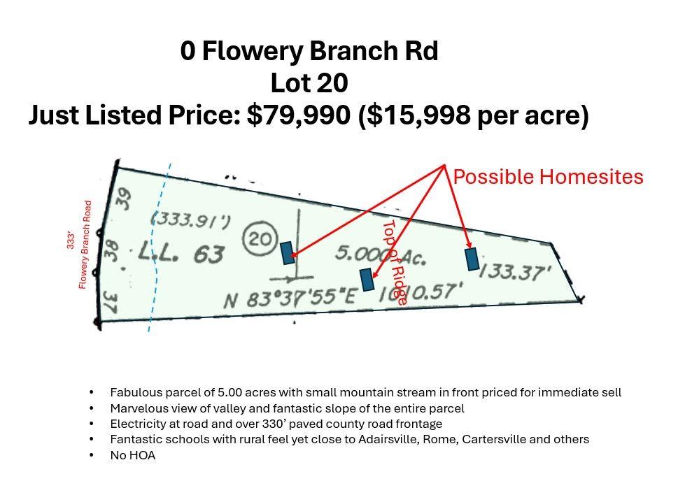 Flowery Branch Lot 20 Road, Kingston, Georgia image 5