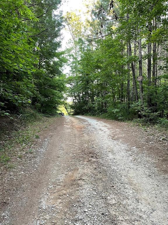 Hwy 78, Tallapoosa, Georgia image 3