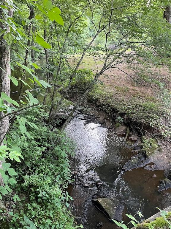 Hwy 78, Tallapoosa, Georgia image 4