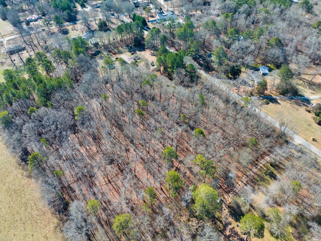 Bethany Church Tract 1 Road, Monroe, Georgia image 4