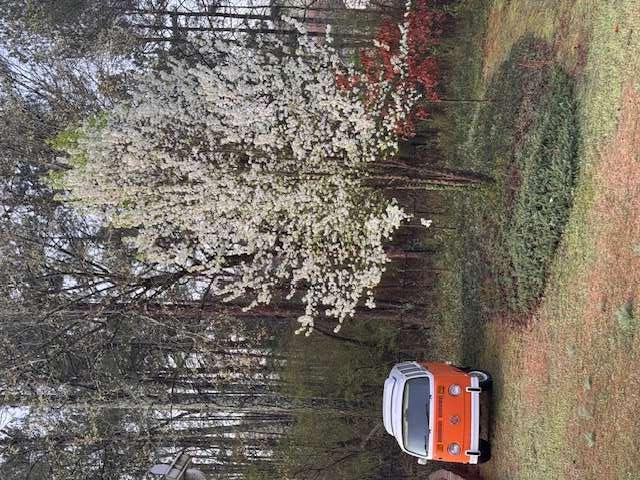 1 Shadowood Drive, Rome, Georgia image 46