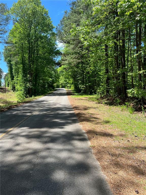 Madison Sanders Road, Buchanan, Georgia image 1