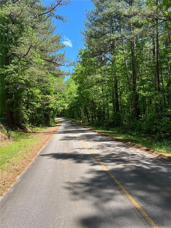 Madison Sanders Road, Buchanan, Georgia image 2