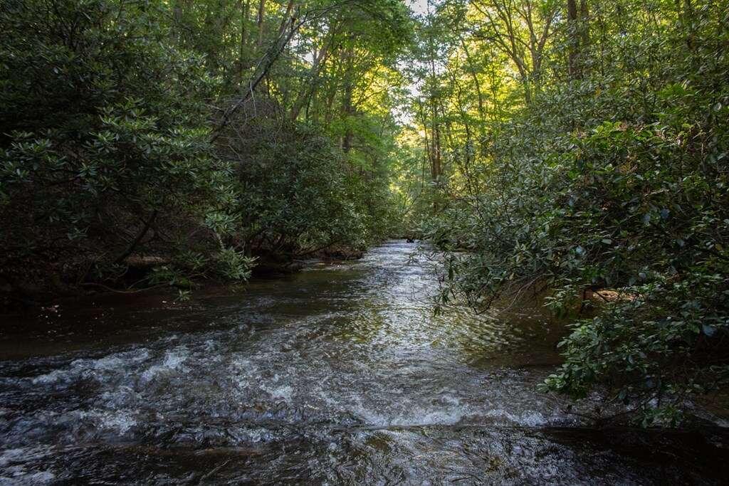 LOT 3 Big Creek, Blue Ridge, Georgia image 2