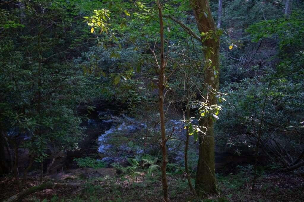 LOT 3 Big Creek, Blue Ridge, Georgia image 11