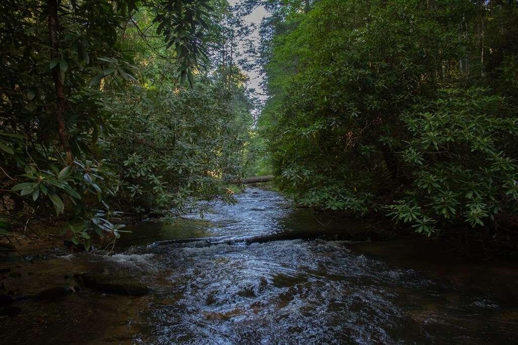 LOT 3 Big Creek, Blue Ridge, Georgia image 4