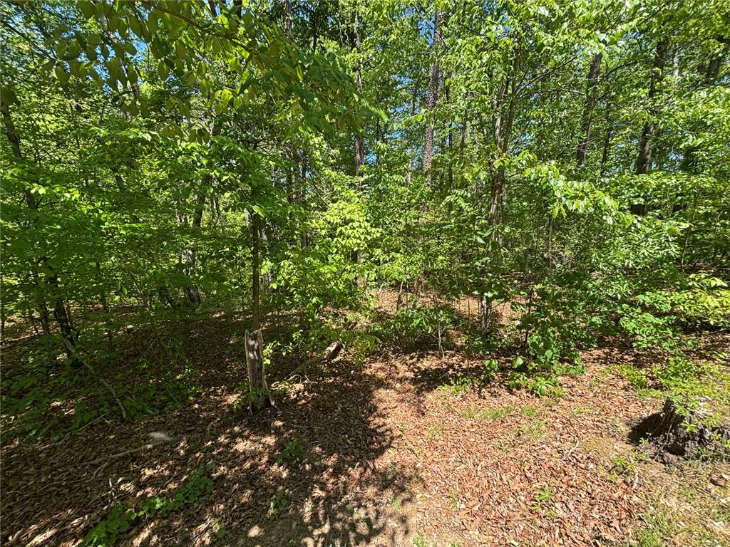 Lot 15 Cross Creek Drive