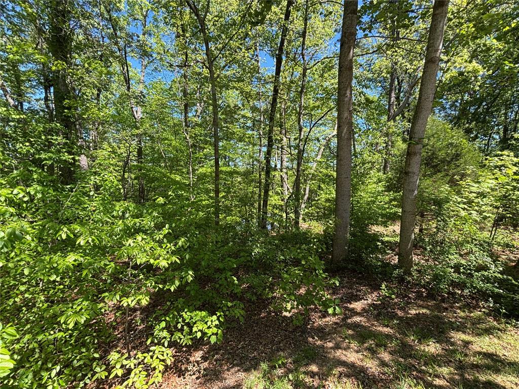 Lot 15 Cross Creek Drive