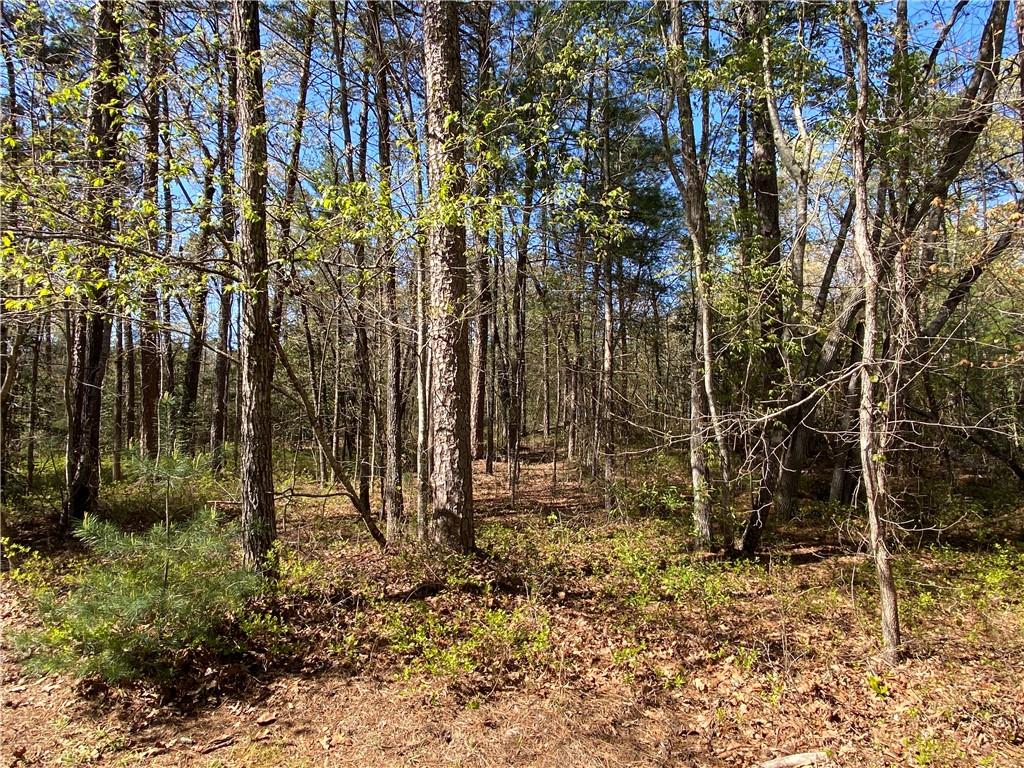 201 Autumn Harvest Lane Ln, Dahlonega, Georgia image 44