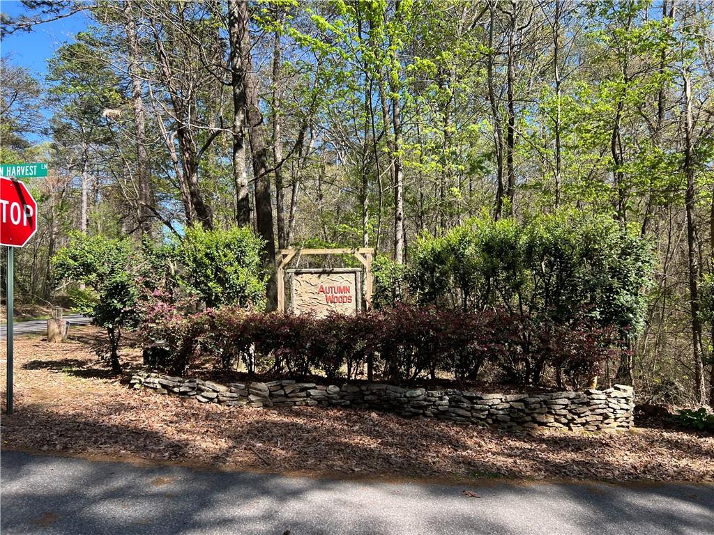 201 Autumn Harvest Lane Ln, Dahlonega, Georgia image 40