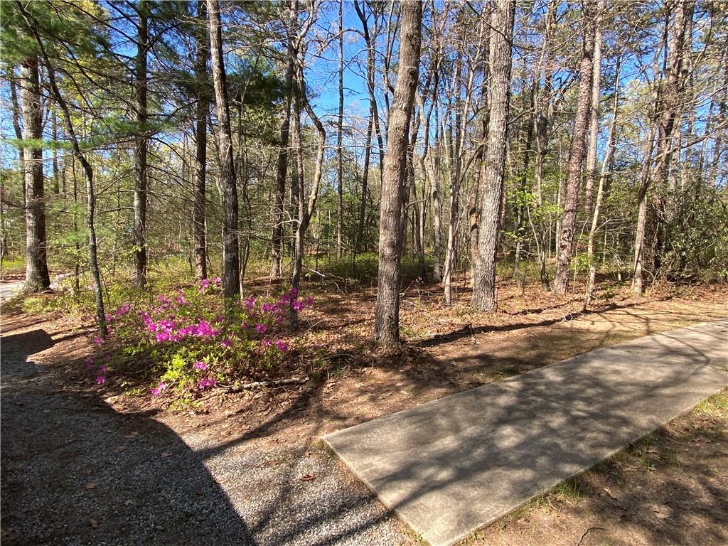 201 Autumn Harvest Lane Ln, Dahlonega, Georgia image 42