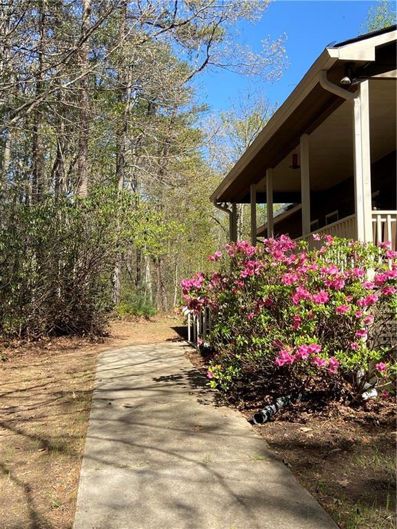 201 Autumn Harvest Lane Ln, Dahlonega, Georgia image 4