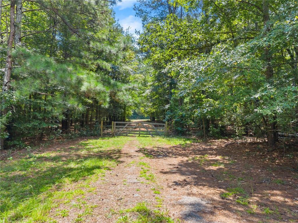 1097 Doster Road