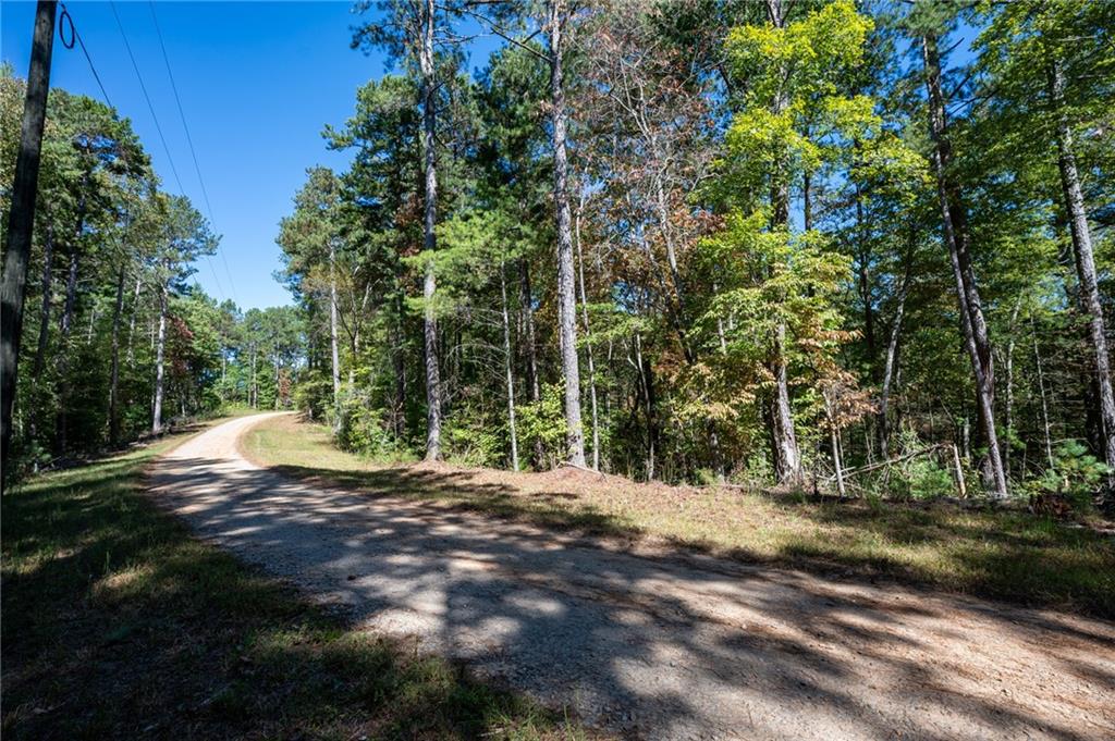 000 Jumper Drive, Ellijay, Georgia image 5