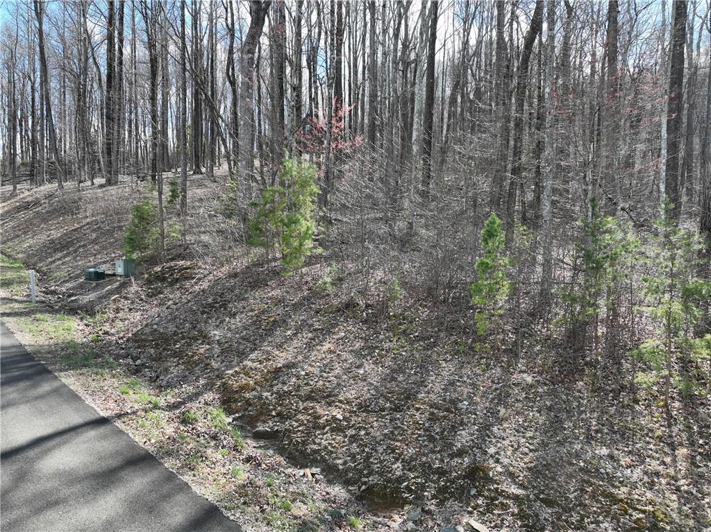 270r Stone Cliff Drive