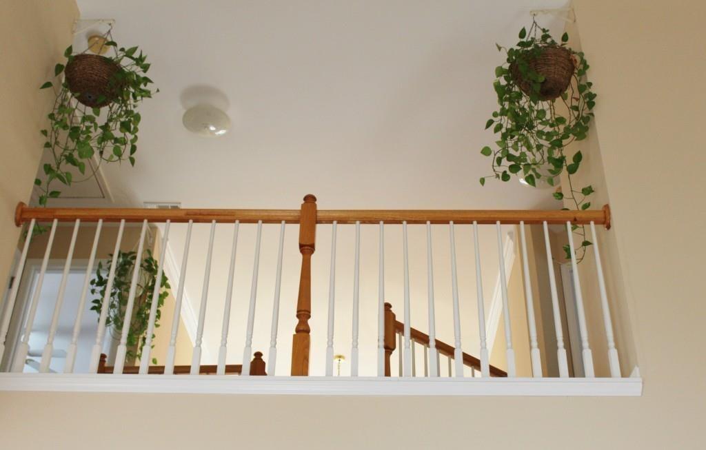 Waterside - Residential Lease