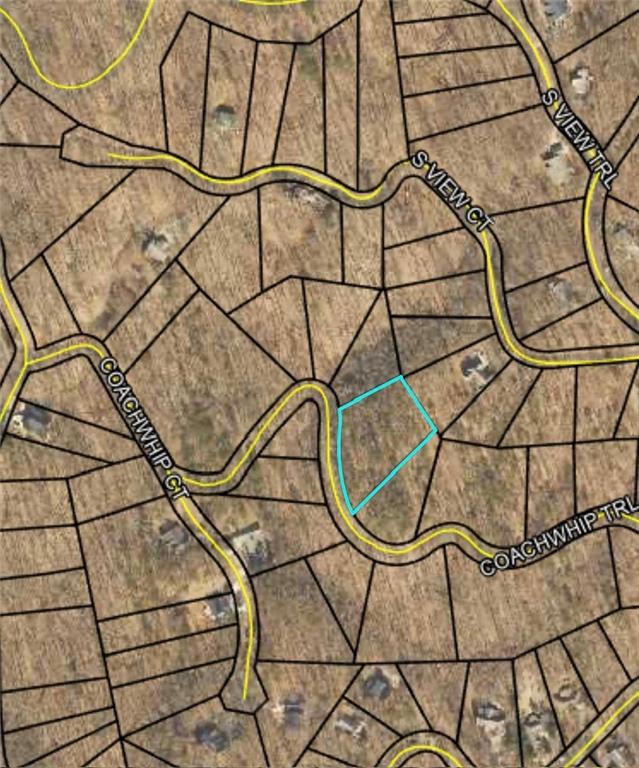 LT1321 Coachwhip Trail