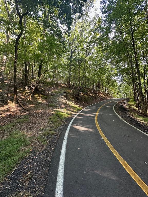 LT1321 Coachwhip Trail