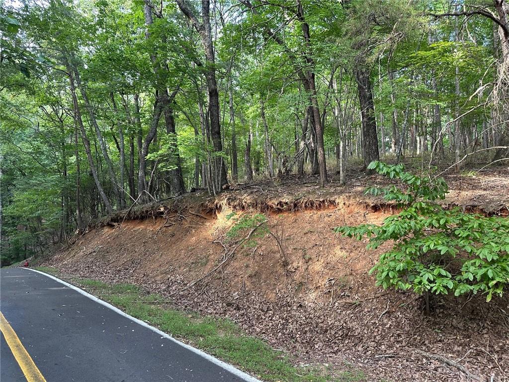 LT1321 Coachwhip Trail