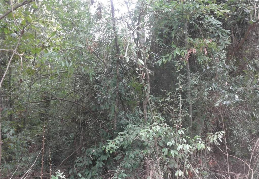 Prime Land Opportunity! Situated in a growing area with convenient access to Jackson Lake, a golf course, tennis and pickleball courts, baskeball courts, a playground, High Falls State Park, the Dauset Trails Nature Center, and more!! Optional HOA if you use the community dock! Perfect opportunity to build your dream home in a community full of potential!!!