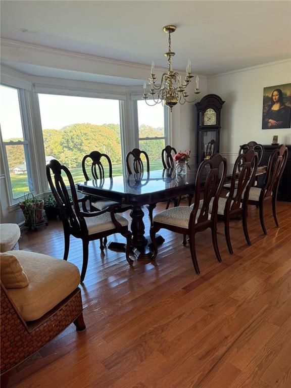 8 OAK HILL Circle