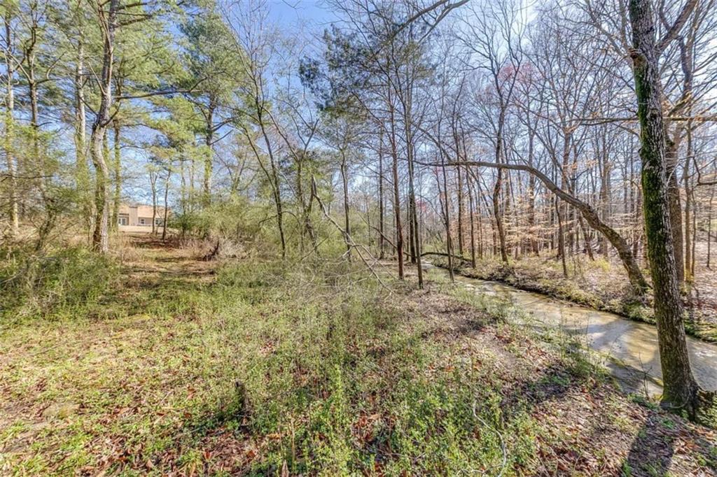 403 Laythan Court, Winder, Georgia image 45