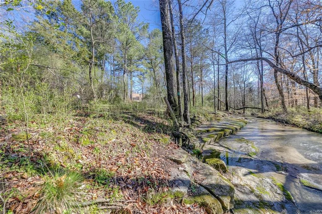 403 Laythan Court, Winder, Georgia image 44
