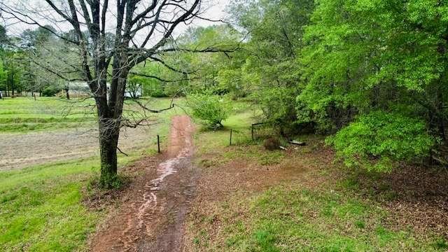 1140 Scales Creek Road, Homer, Georgia image 29