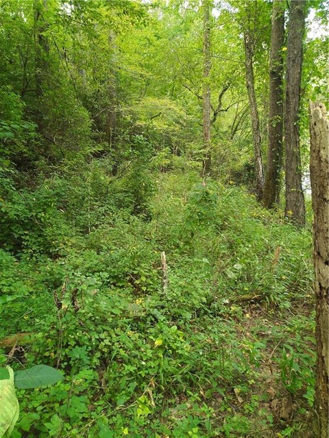 Vacant Land For Sale - 00 Marie<br/> Gilmer County, Talking Rock, GA 30540