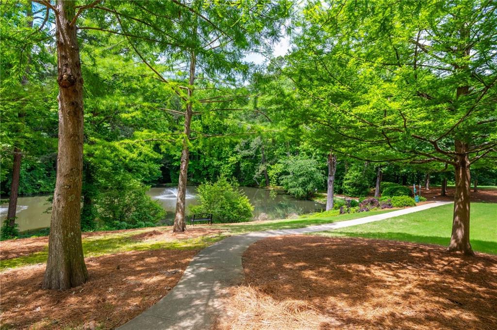 1227 Ashford Creek Park, Atlanta, Georgia image 47