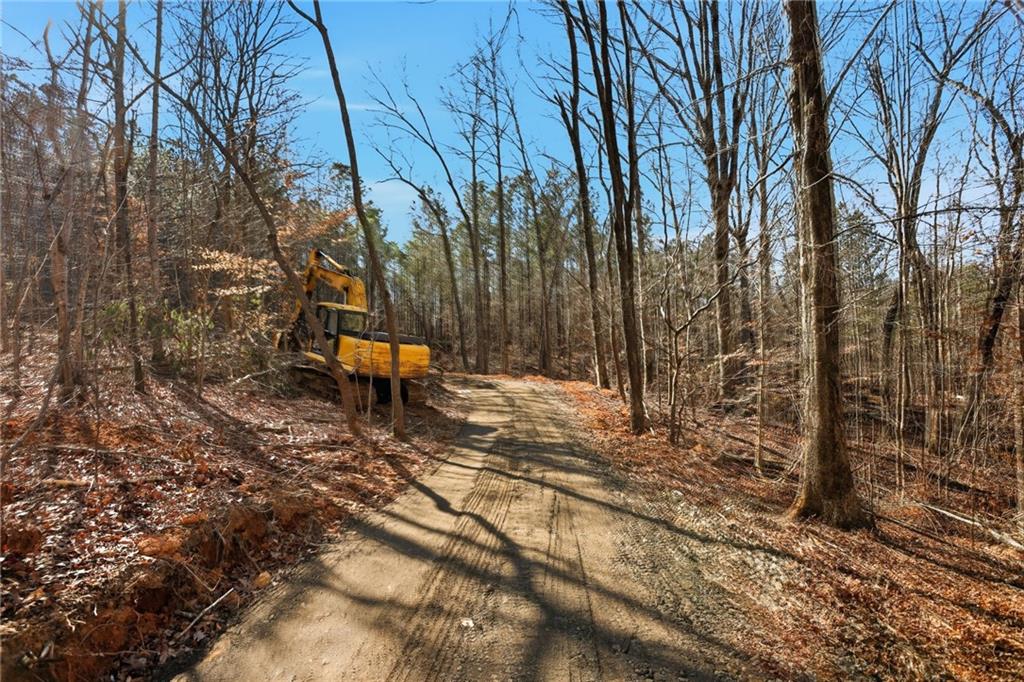 5.785 Acres on Orlando Path