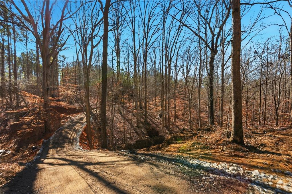 5.785 Acres on Orlando Path