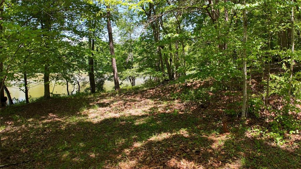 000 Webster Lake Road, Cleveland, Georgia image 4
