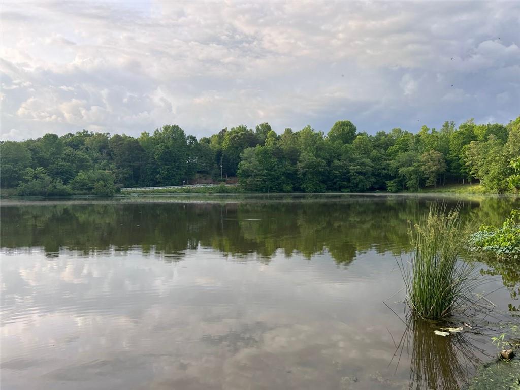 000 Webster Lake Road, Cleveland, Georgia image 14