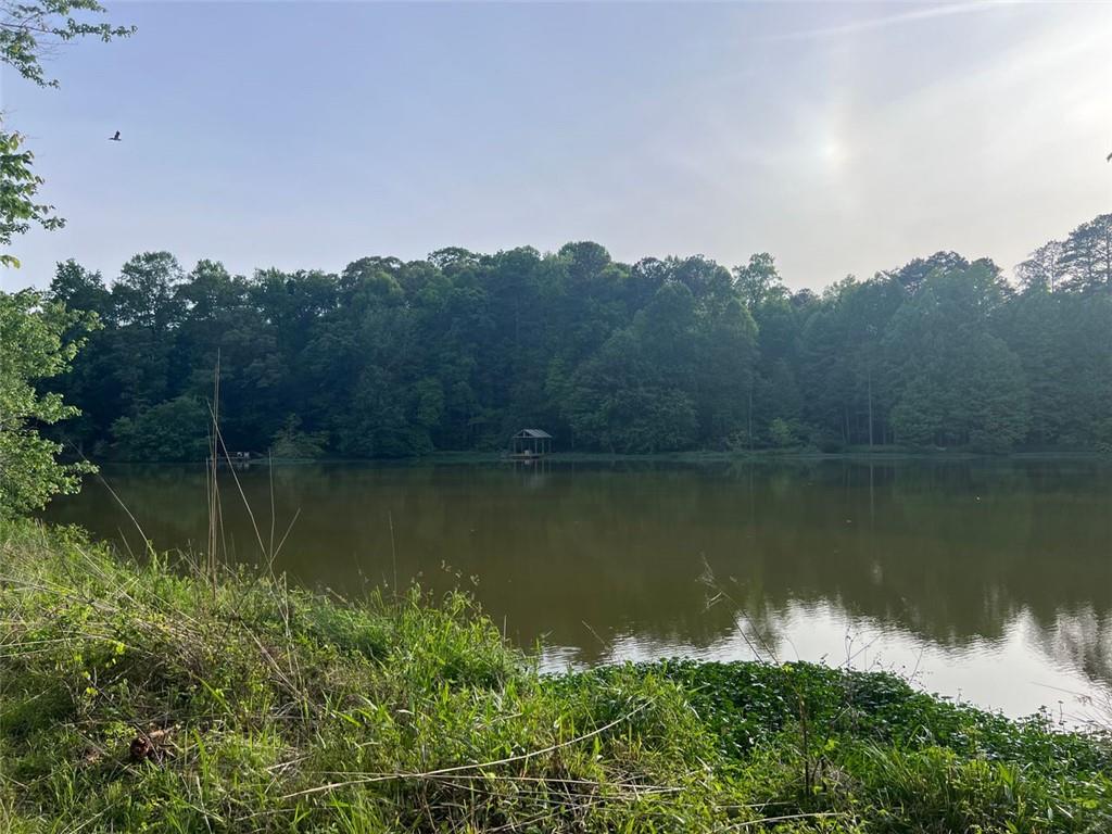 000 Webster Lake Road, Cleveland, Georgia image 8