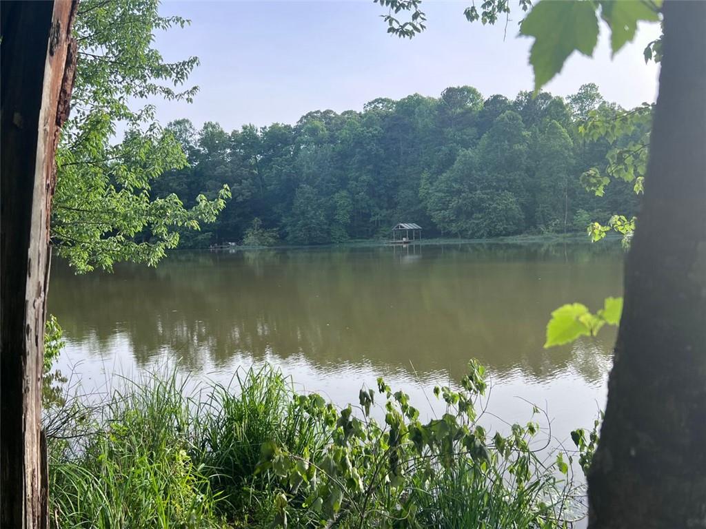 000 Webster Lake Road, Cleveland, Georgia image 3