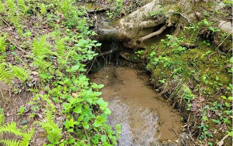 Vacant Land For Sale - LOT27 Oak Ridge<br/> Ellijay, GA 30536