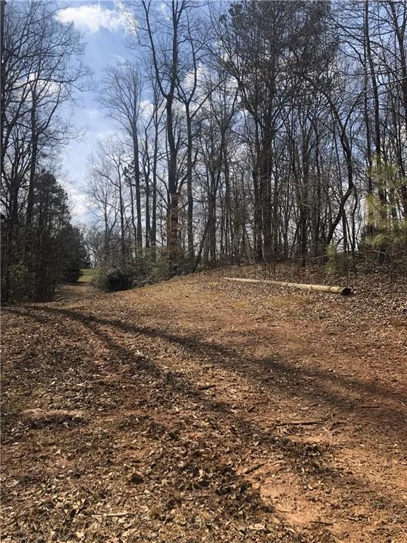 Flowery Branch, Georgia 30542, United States, 2 Bedrooms Bedrooms, ,2 BathroomsBathrooms,Land,Active,88011