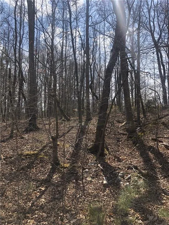 Flowery Branch, Georgia 30542, United States, 2 Bedrooms Bedrooms, ,2 BathroomsBathrooms,Land,Active,88011