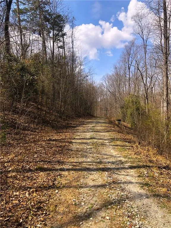 Flowery Branch, Georgia 30542, United States, 2 Bedrooms Bedrooms, ,2 BathroomsBathrooms,Land,Active,88011