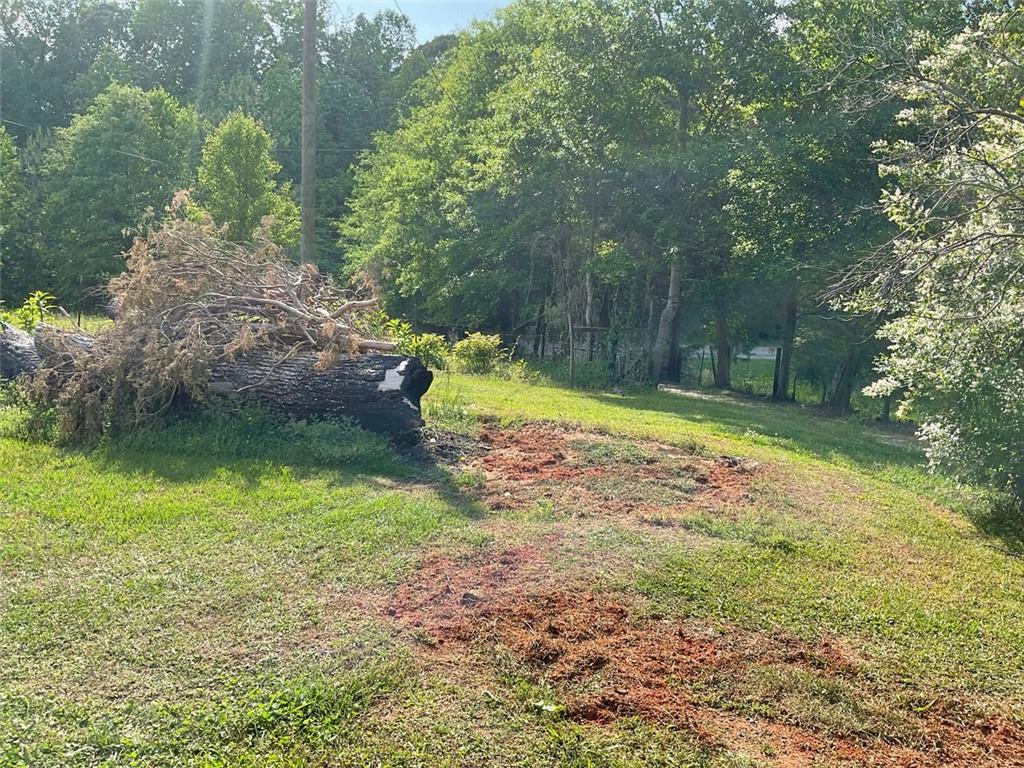 7000 Petersburg Road, Fairburn, Georgia image 5