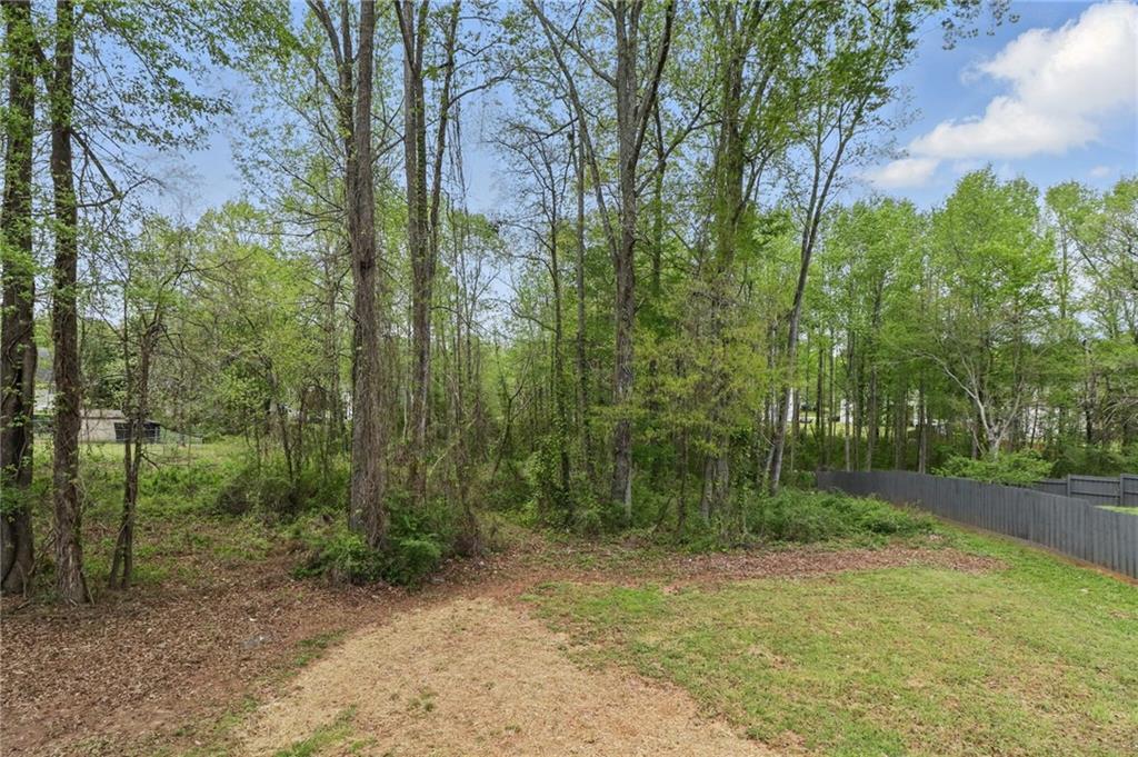 176 Villa Rosa Road, Temple, Georgia image 34