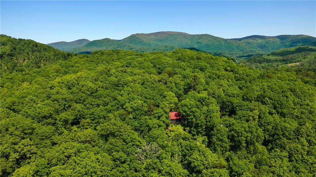 127 Berry Reister Road, Blairsville, Georgia image 37
