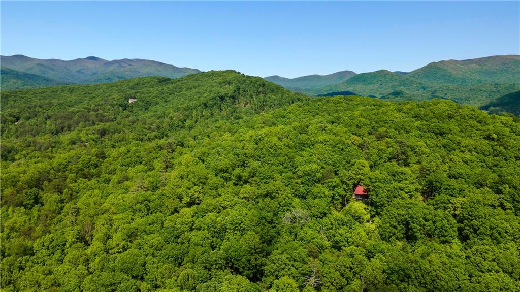 127 Berry Reister Road, Blairsville, Georgia image 36
