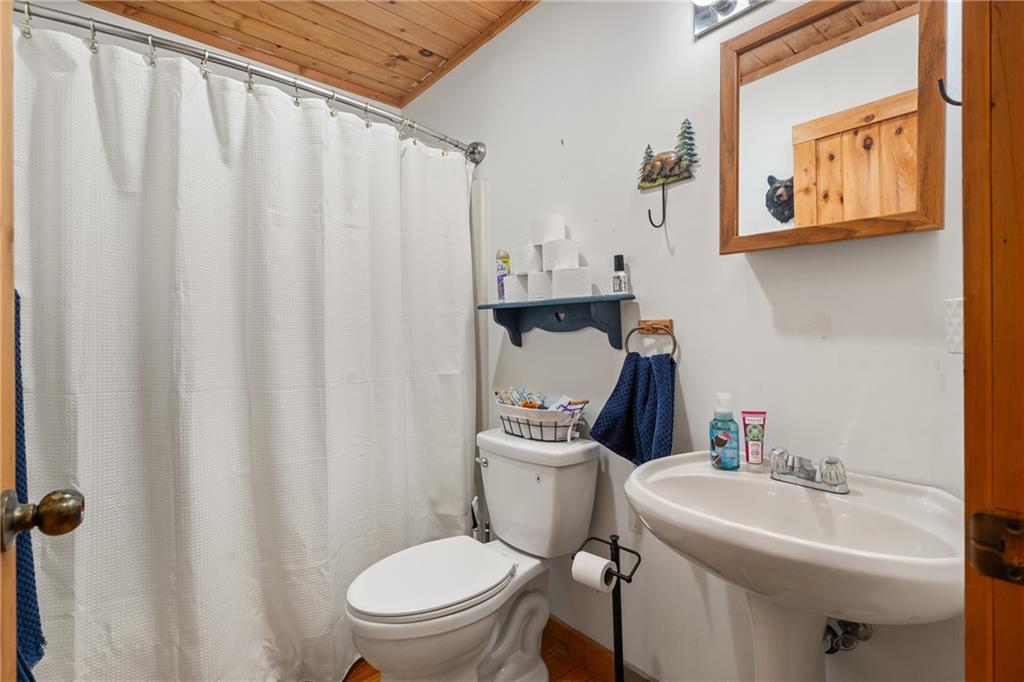 127 Berry Reister Road, Blairsville, Georgia image 24