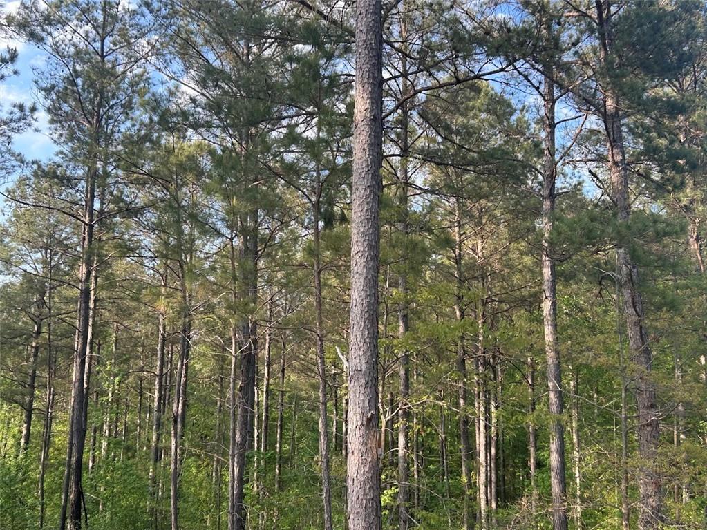 0 Needmore Rd Unit (345.37 ACRES)