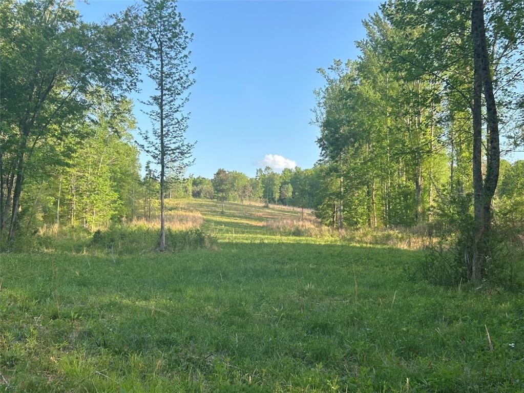 0 Needmore Rd Unit (345.37 ACRES)